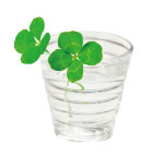 「おいしい」「健康維持に役立つ」の秘密は“ミネラル還元水”