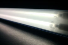 昼光色（6000K）