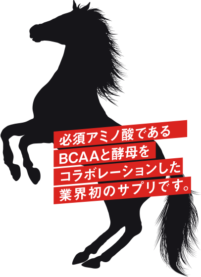 必須アミノ酸であるBCAAと酵母をコラボレーションした業界初のサプリです。